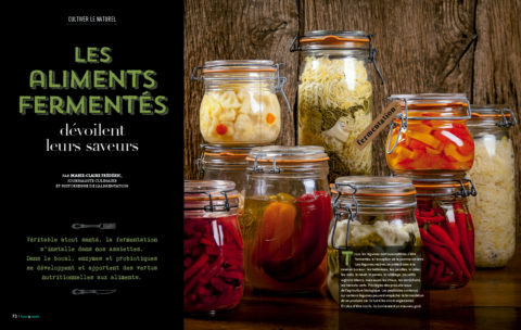 Les Aliments Fermentés - Magazine Sens & Santé